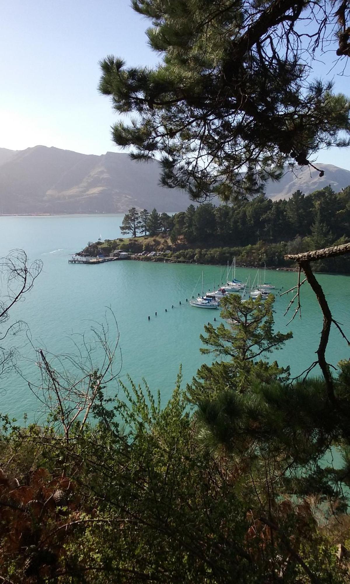 Magnolia Cottage Diamond Harbour Exterior foto