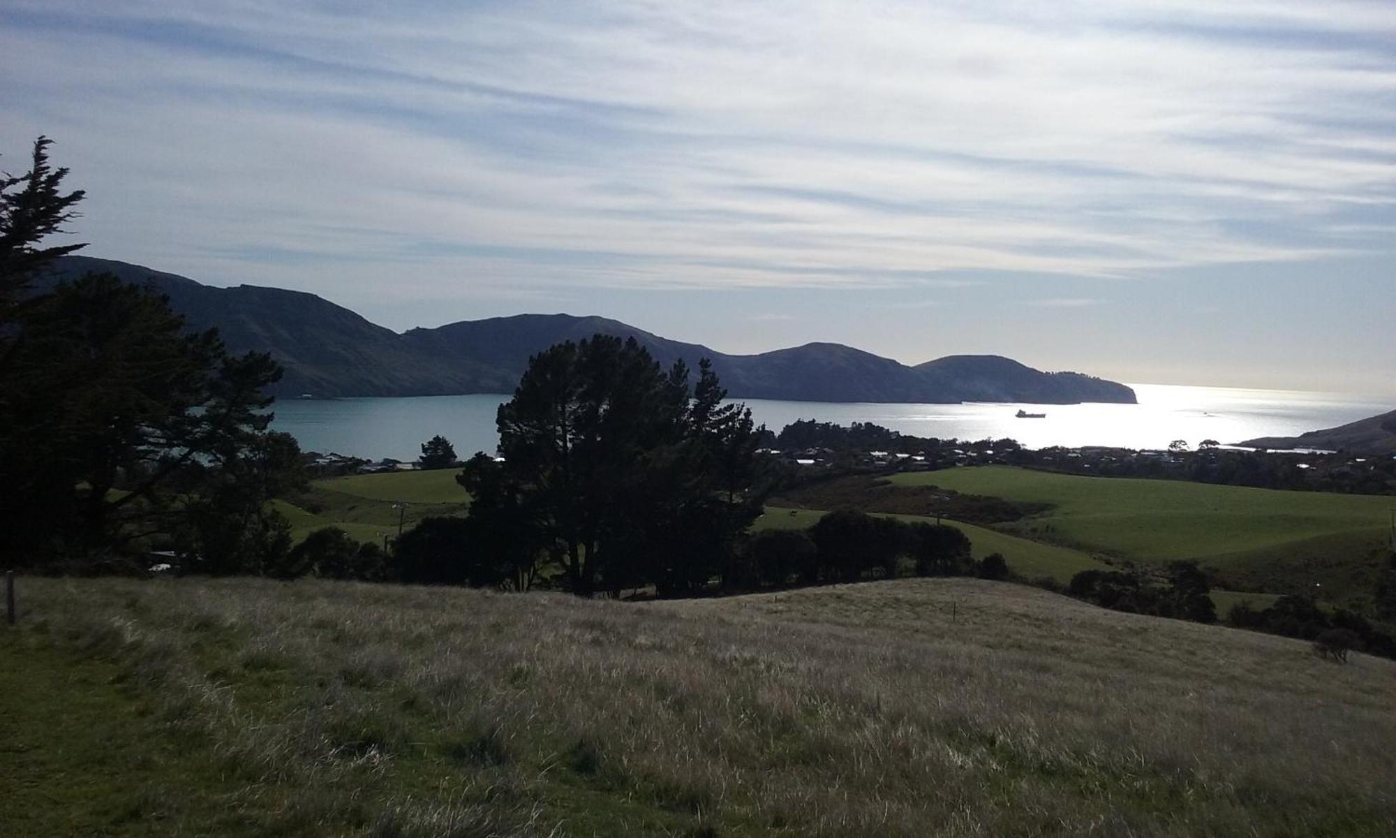 Magnolia Cottage Diamond Harbour Exterior foto